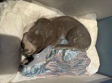 Vintage HTF  Lladro Grizzly Bear Figurine Retired 01008576