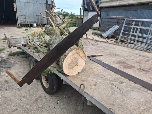 Vintage two man crosscut - 2x,