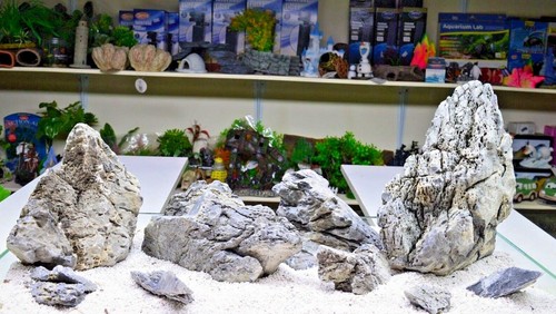 Seiryu ryuoh rock stone ada - seiryu,