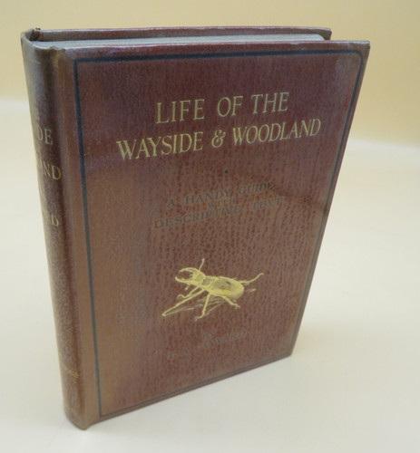 Life the wayside and - life,
