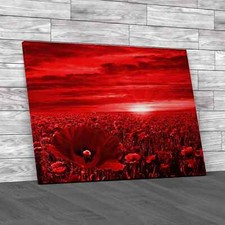 Poppy Field At Sunrise Canvas