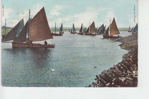 View sail boats annan - boats, in