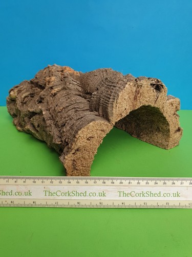 Cork bark turtle - bark,