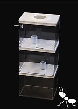 Nano Triple Stacker Ant Farm 