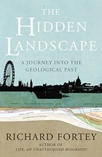 The Hidden Landscape: A
