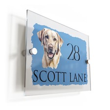 Dog Golden Labrador Acrylic