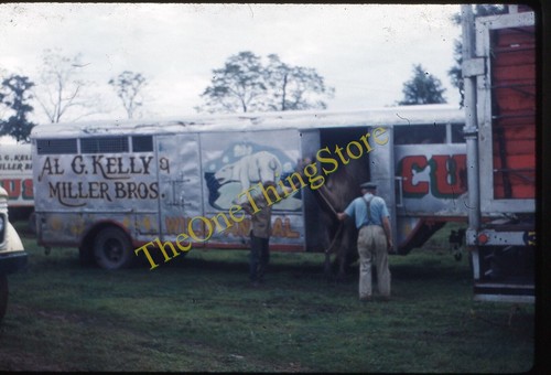 Kelly miller circus - kelly,