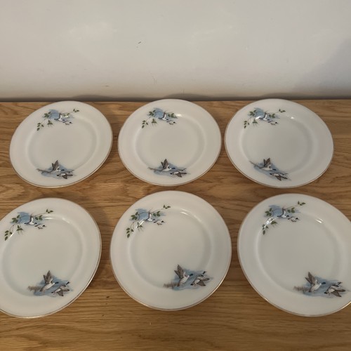 1960 jaj pyrex wild fowl - pyrex,