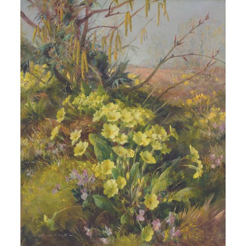 Spring vista ward - v, print