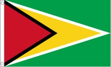 3’ x 2’ GUYANA FLAG