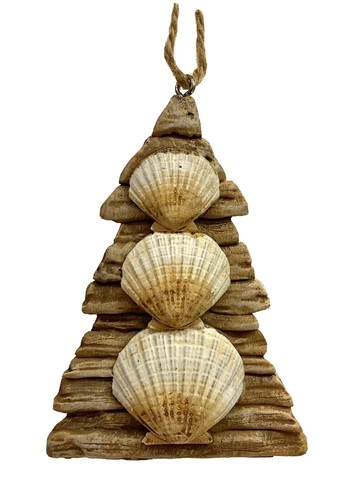 Seashells driftwood tree - &,