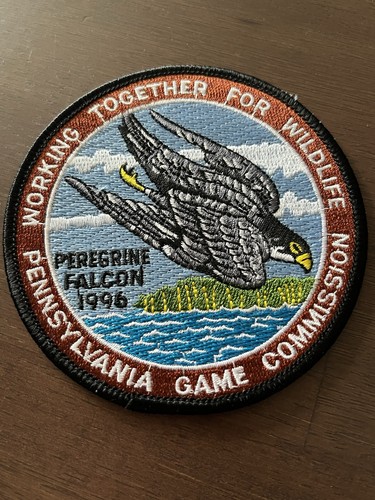1996 peregrine falcon - 1996,