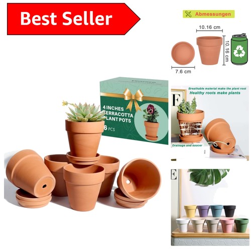 Pack 16cm clay pots - 6, of