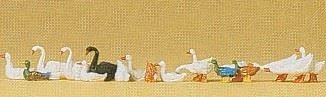 Ducks geese swans - &, ho/oo