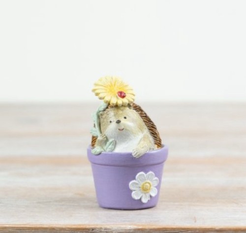 Hedgehog plant pot - hedgehog, in