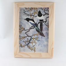 Vintage C F Tunnicliffe Magpie