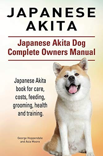Japanese akita - akita.,