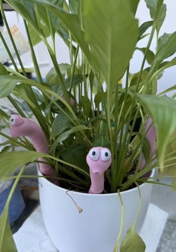 Garden plant pot worm - pot,