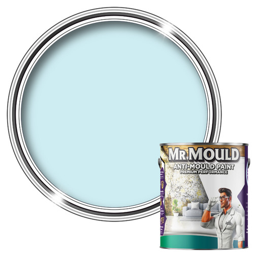 Anti mould wall paint - wall,