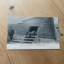 1906 Postcard, Shetland, A Shetland Stable, “By Sea And By Land” Rothesay Cancel