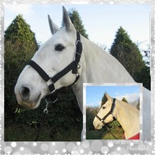 EXTRA FULL SIZE STRONG SHIRE DRAFT HORSE CLYDESDALE HEADCOLLAR with free rope