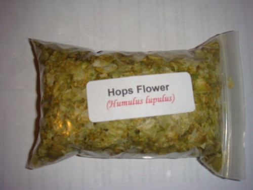 Hops flowers humulus - 1,