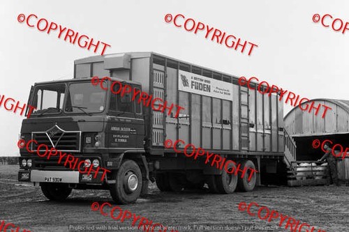 Truck photo adrian jackson - -,