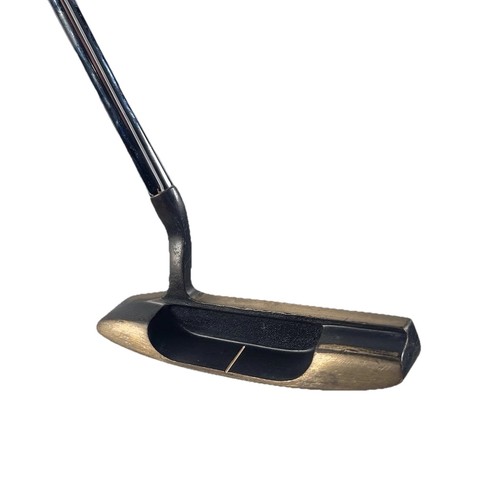 Old master putter - master,