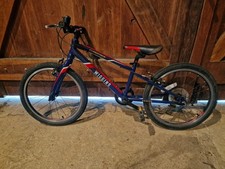 Wiggins Chartres Unisex Kids