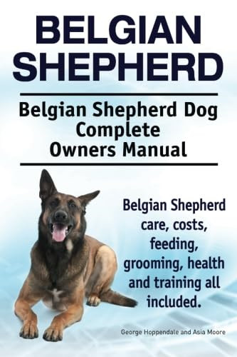 Belgian shepherd - belgian,