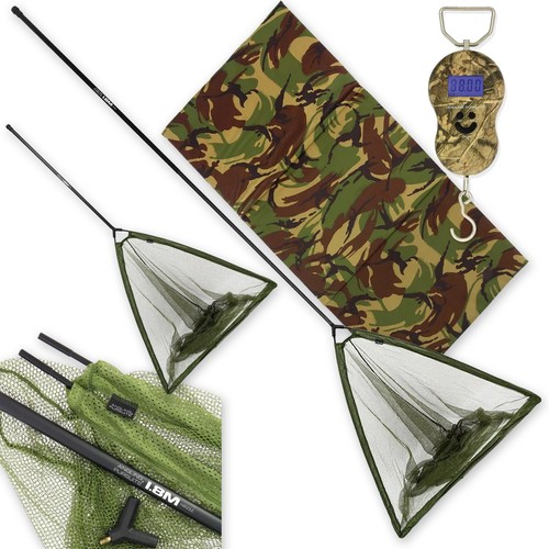 Carp fishing landing - carp, net