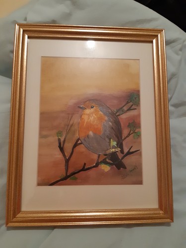 Original framed robin - original,