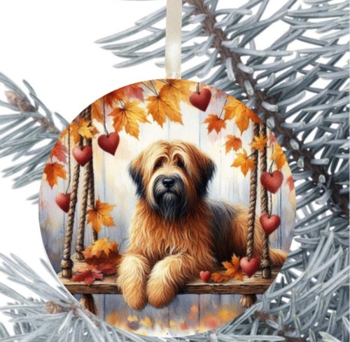 Briard dog hanging - briard,