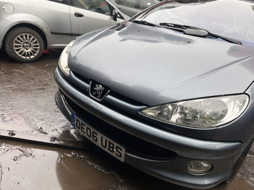 Peugeot 206 mk1 - peugeot,