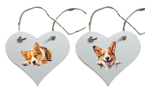 Pembroke welsh corgi - welsh,