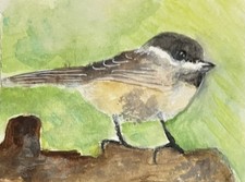 Aceo Art  2.5”” X 3.5”