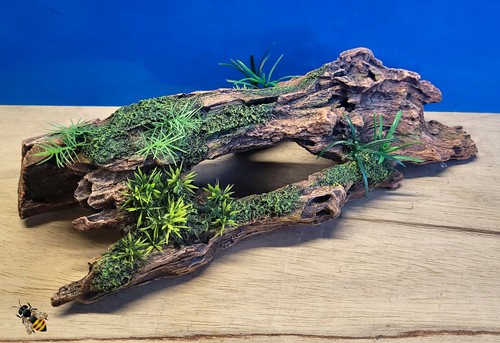 Driftwood log plant large - driftwood,
