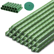 Hydroponics Garden Plant