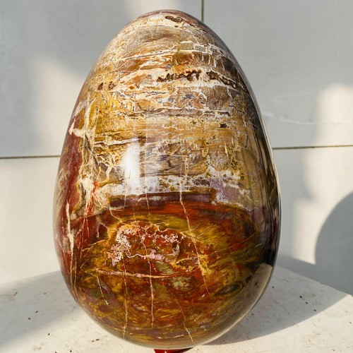 Natural petrified wood egg - natural,