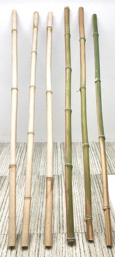 Six diameter natural - 1”,