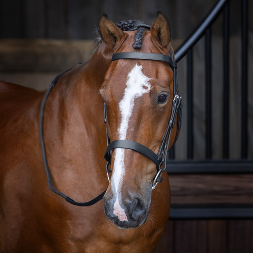 Shires velociti rapida hunter - rapida,