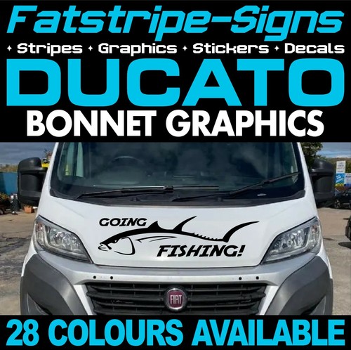 Fits fiat ducato graphics - fits,