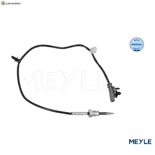 Exhaust gas temperature - exhaust, sensor