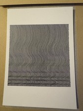 Bridget Riley Op Art Fall