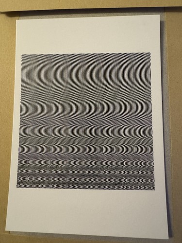 Bridget riley art fall - riley, op