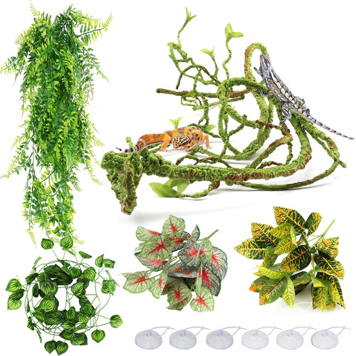 Reptile plants terrarium - plants,,