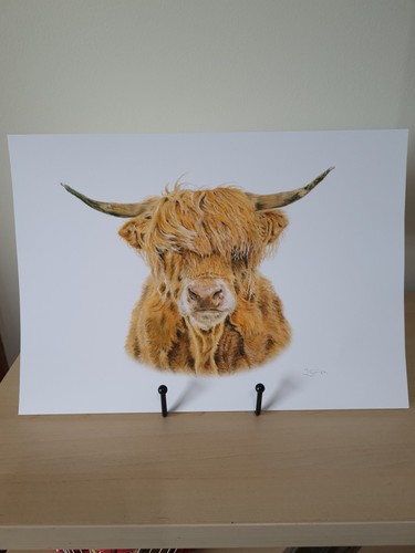 Highland cow signed art print - signed,