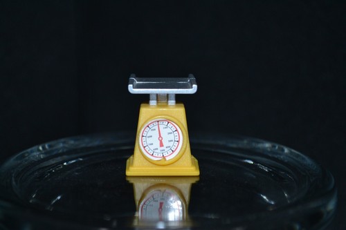 Sylvanian families watermill - sylvanian,