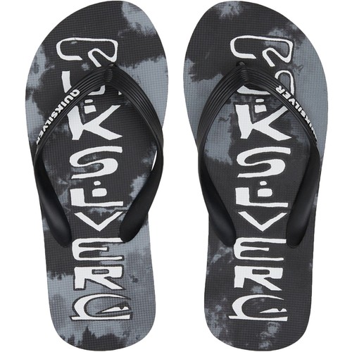 Quiksilver kids molokai acid - quiksilver,