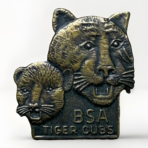 Boy girl scout bsa - boy,